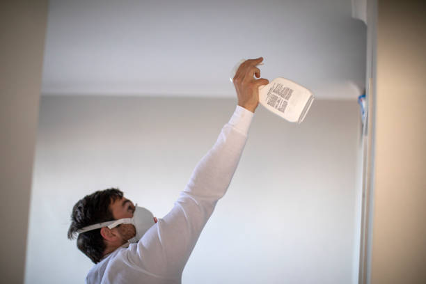Best Residential Mold Removal  in Pecos, TX