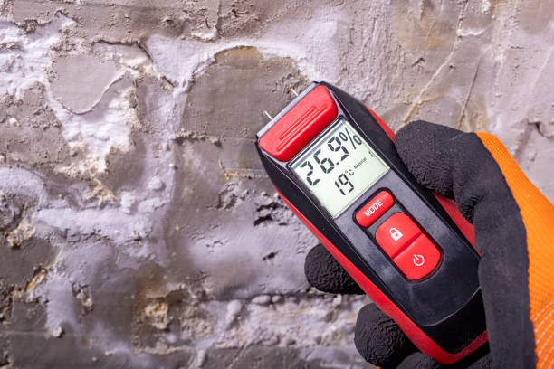 Crawl Space Mold Removal in Pecos, TX