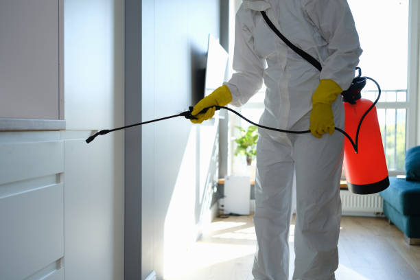 Best Mold Testing  in Pecos, TX