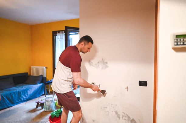 Best Black Mold Removal  in Pecos, TX