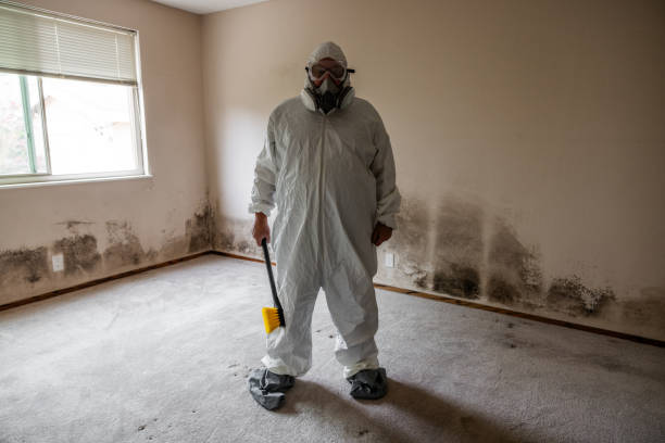 Best Mold Removal Process  in Pecos, TX